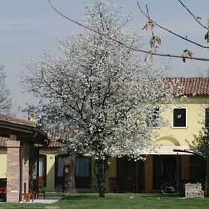 Particolari Del Brenta Apartment Oriago Di Mira